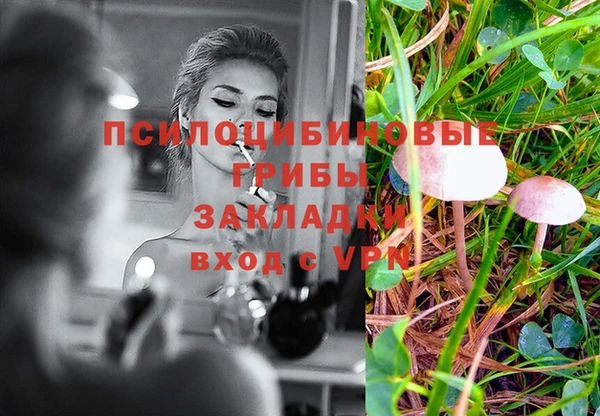 дурь Балахна