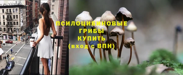 тгк Балабаново