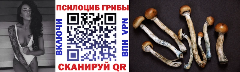 Галлюциногенные грибы GOLDEN TEACHER  Борисоглебск 